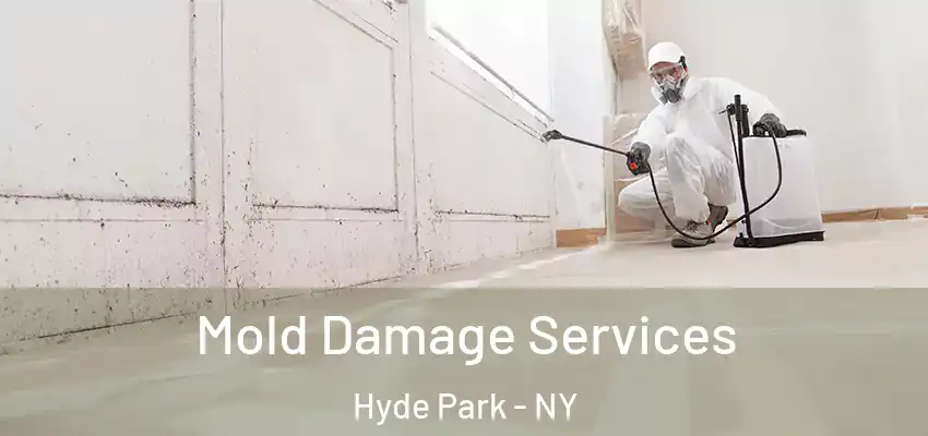  Mold Damage Services Hyde Park - NY