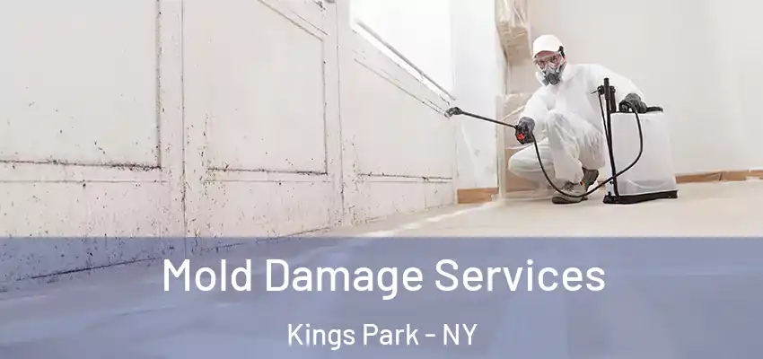 Mold Damage Services Kings Park - NY
