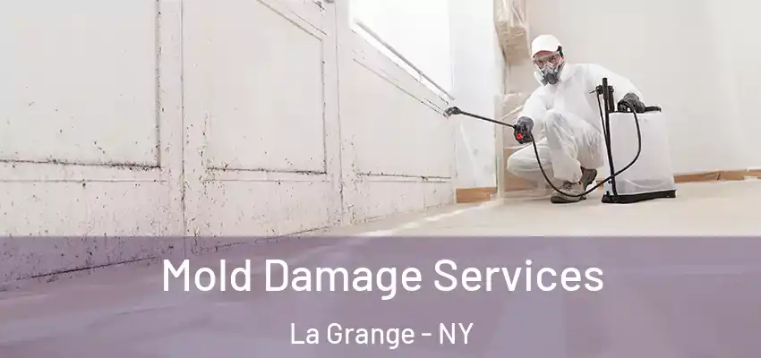 Mold Damage Services La Grange - NY
