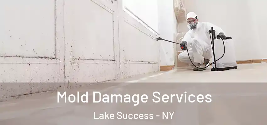 Mold Damage Services Lake Success - NY
