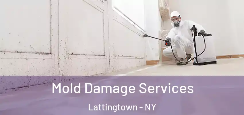 Mold Damage Services Lattingtown - NY