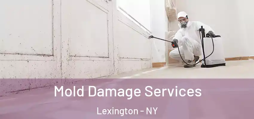 Mold Damage Services Lexington - NY