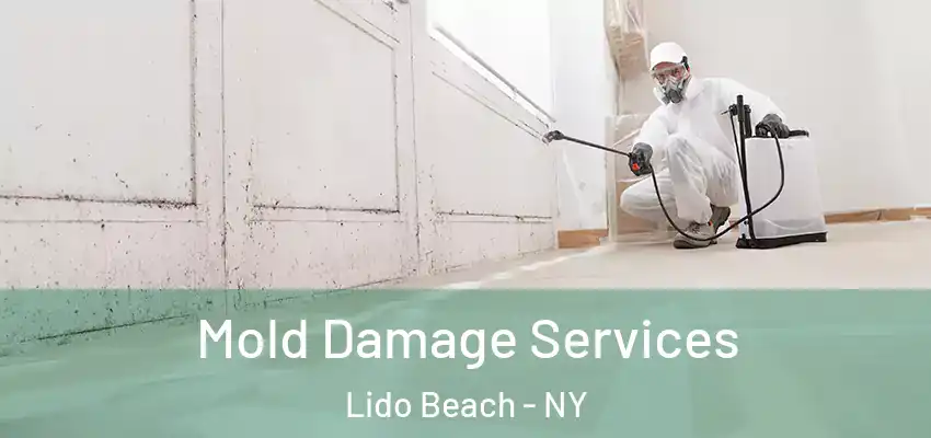 Mold Damage Services Lido Beach - NY