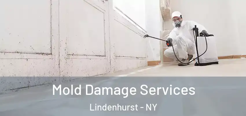  Mold Damage Services Lindenhurst - NY