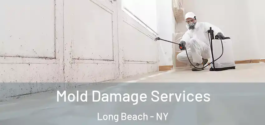  Mold Damage Services Long Beach - NY
