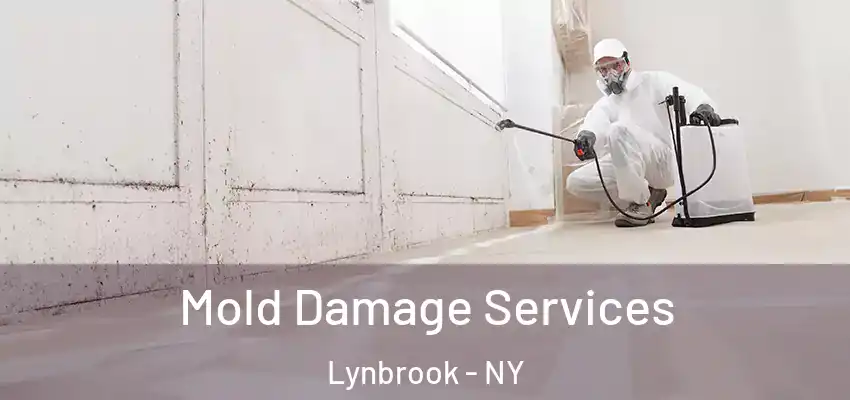  Mold Damage Services Lynbrook - NY