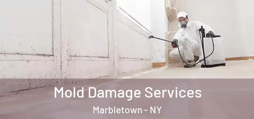 Mold Damage Services Marbletown - NY