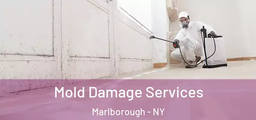 Mold Damage Services Marlborough - NY