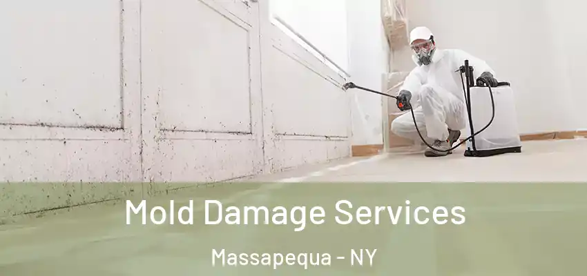 Mold Damage Services Massapequa - NY