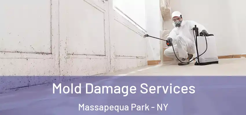 Mold Damage Services Massapequa Park - NY