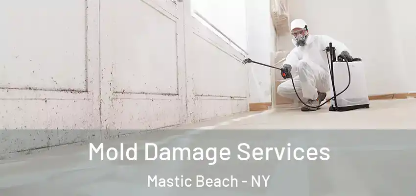  Mold Damage Services Mastic Beach - NY
