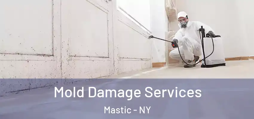  Mold Damage Services Mastic - NY