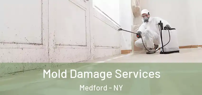 Mold Damage Services Medford - NY