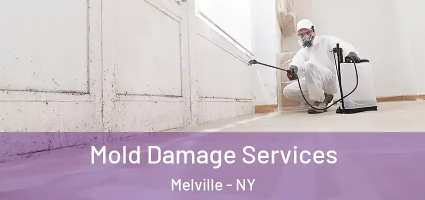 Mold Damage Services Melville - NY