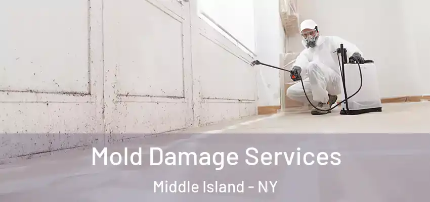  Mold Damage Services Middle Island - NY