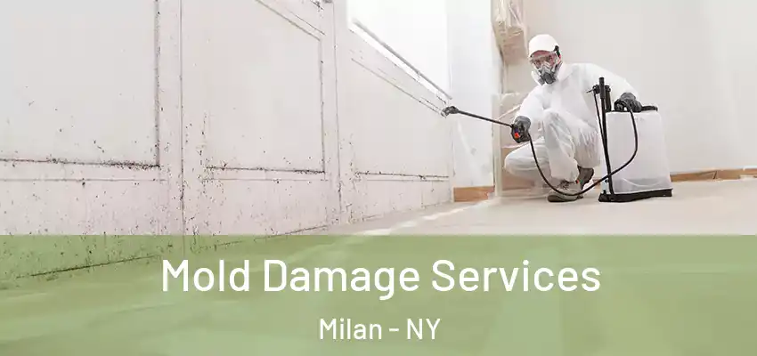 Mold Damage Services Milan - NY