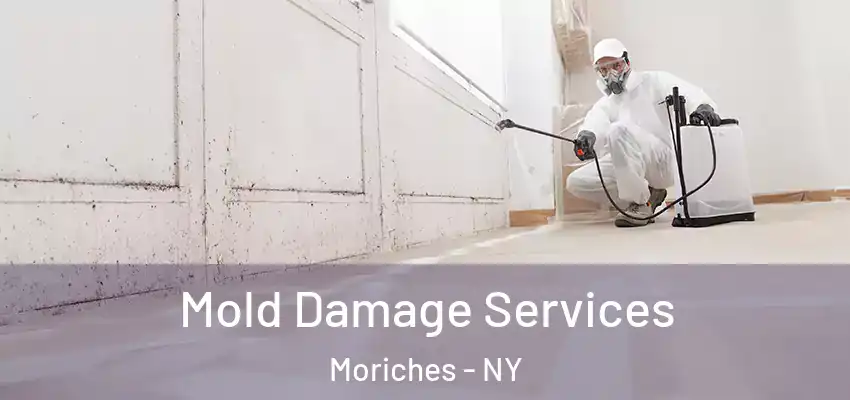  Mold Damage Services Moriches - NY