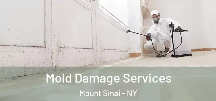 Mold Damage Services Mount Sinai - NY