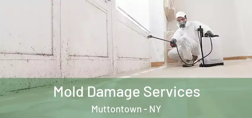  Mold Damage Services Muttontown - NY