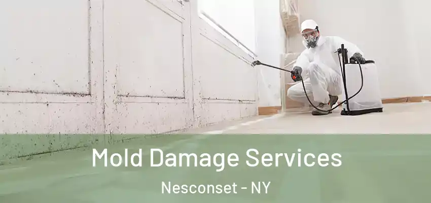  Mold Damage Services Nesconset - NY