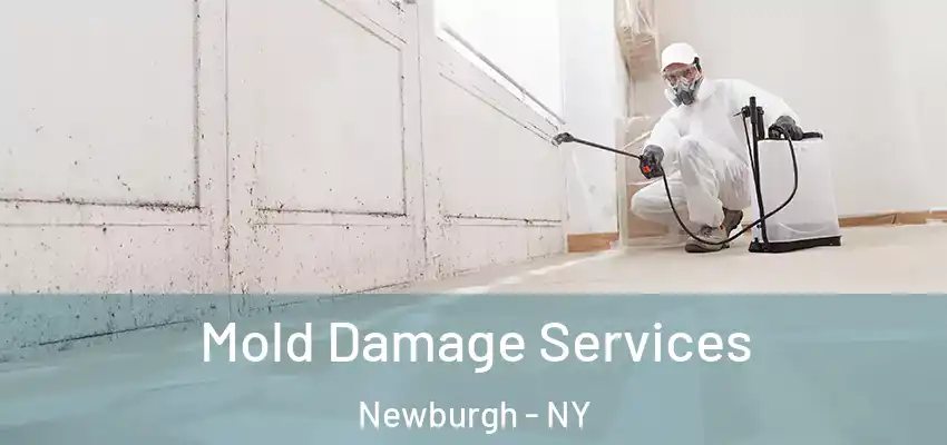 Mold Damage Services Newburgh - NY