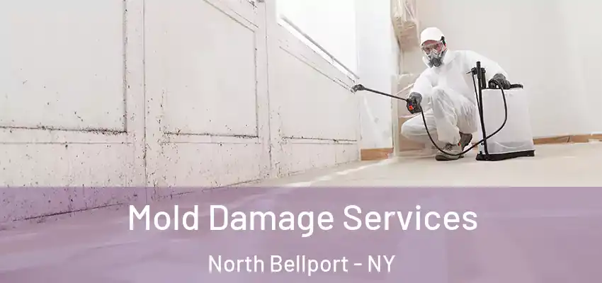  Mold Damage Services North Bellport - NY