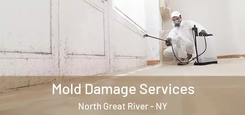 Mold Damage Services North Great River - NY