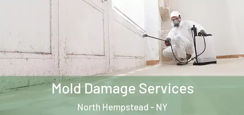 Mold Damage Services North Hempstead - NY