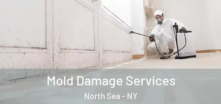  Mold Damage Services North Sea - NY