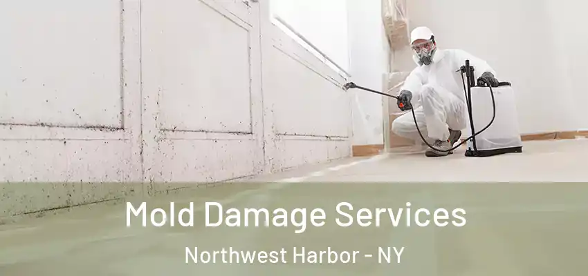  Mold Damage Services Northwest Harbor - NY