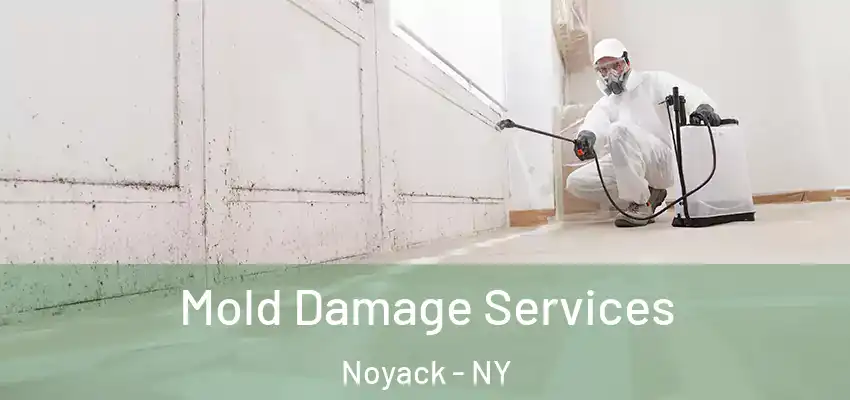  Mold Damage Services Noyack - NY