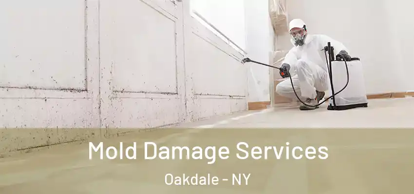 Mold Damage Services Oakdale - NY