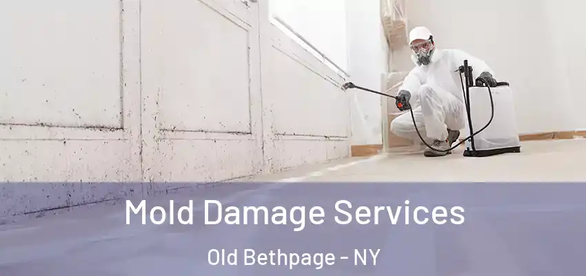  Mold Damage Services Old Bethpage - NY