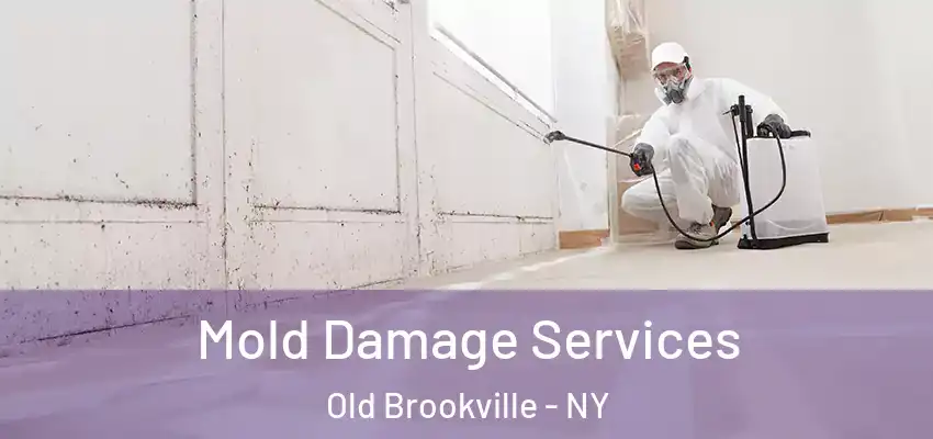 Mold Damage Services Old Brookville - NY