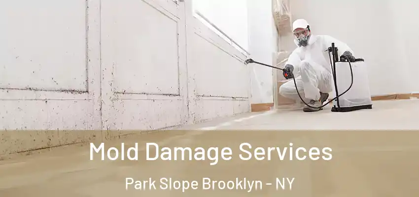  Mold Damage Services Park Slope Brooklyn - NY