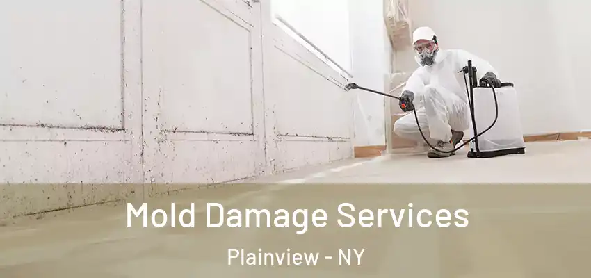 Mold Damage Services Plainview - NY