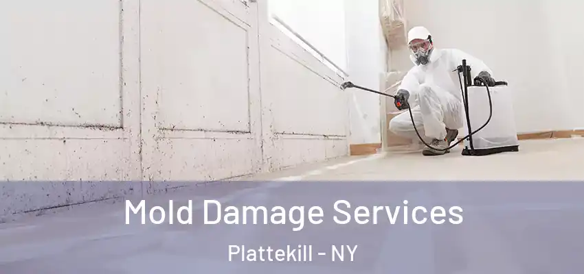 Mold Damage Services Plattekill - NY