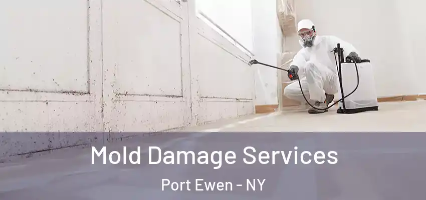 Mold Damage Services Port Ewen - NY