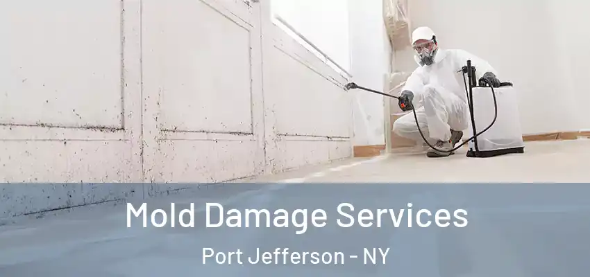 Mold Damage Services Port Jefferson - NY
