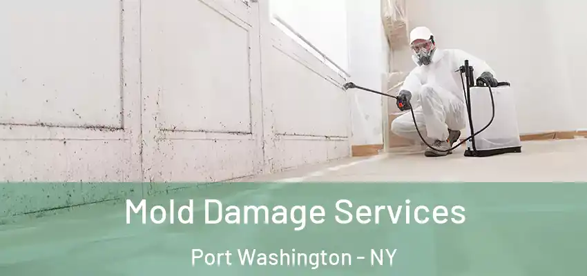 Mold Damage Services Port Washington - NY