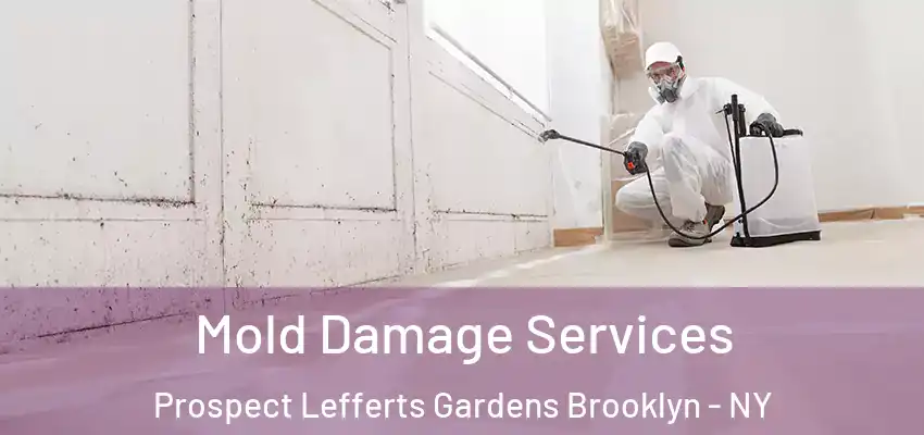  Mold Damage Services Prospect Lefferts Gardens Brooklyn - NY