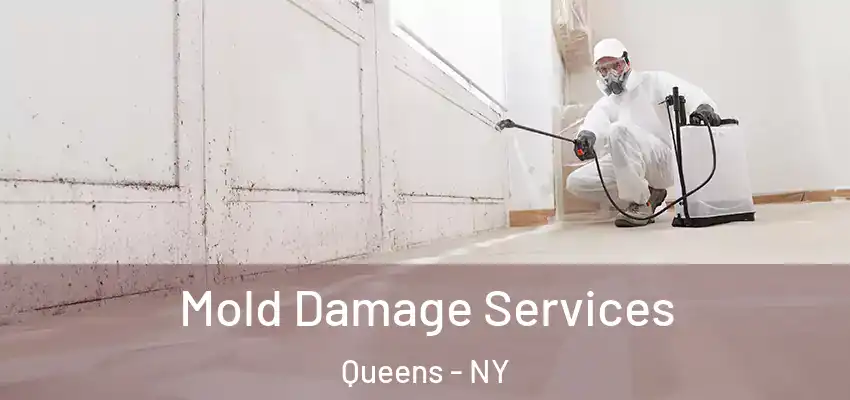  Mold Damage Services Queens - NY