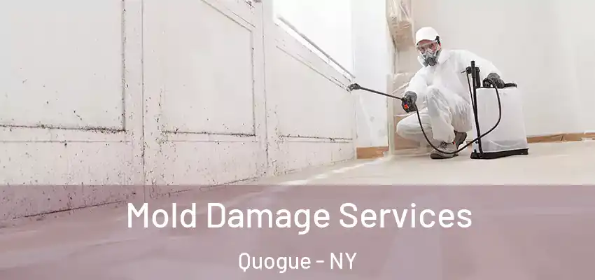 Mold Damage Services Quogue - NY