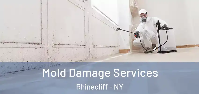 Mold Damage Services Rhinecliff - NY