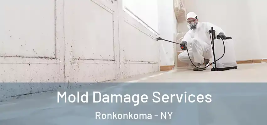Mold Damage Services Ronkonkoma - NY