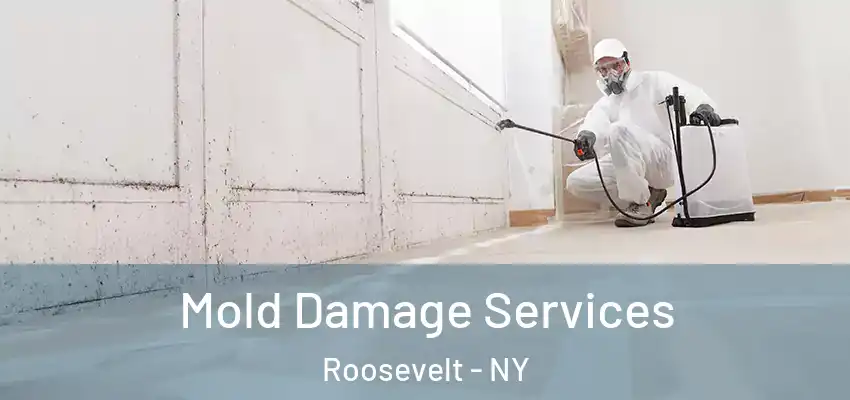 Mold Damage Services Roosevelt - NY