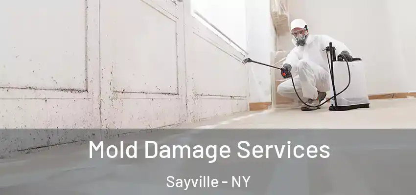  Mold Damage Services Sayville - NY
