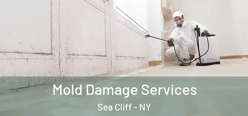 Mold Damage Services Sea Cliff - NY