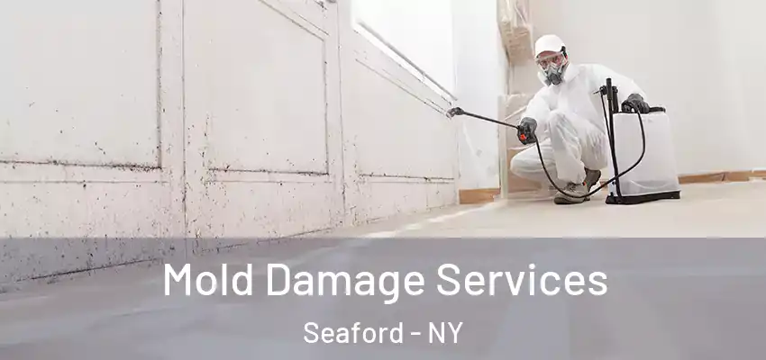  Mold Damage Services Seaford - NY