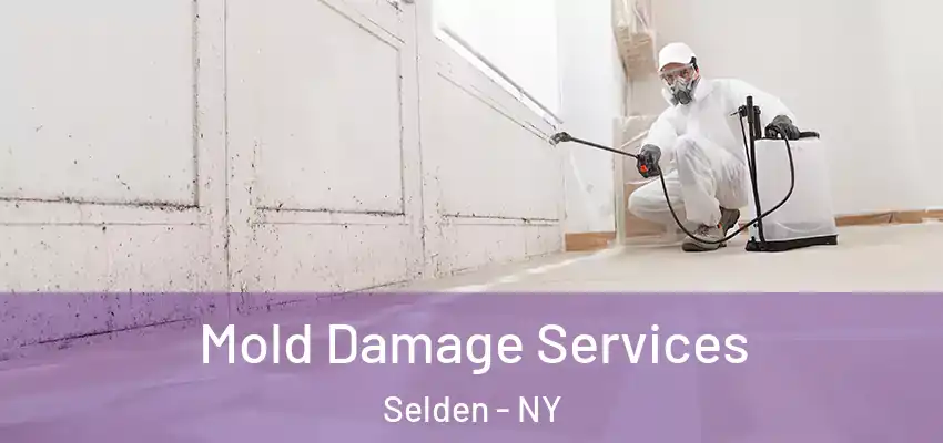  Mold Damage Services Selden - NY